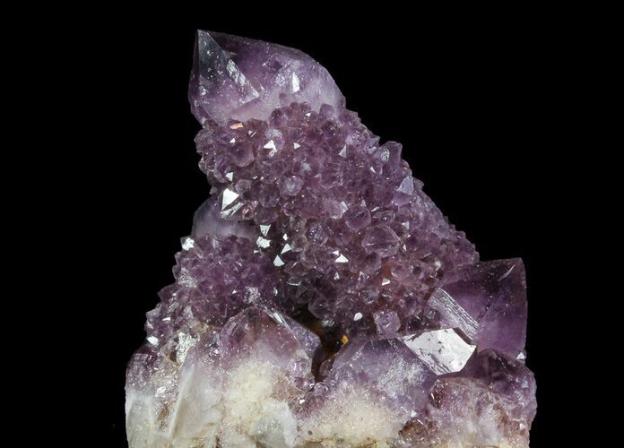 Dark Cactus Quartz (Amethyst) Crystal Cluster - South Africa #64239